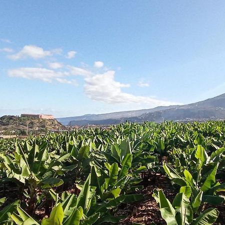 Parque La Luz Daire La Orotava Dış mekan fotoğraf